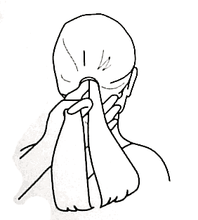 282x314 Style {in}sight How To Fishtail Braid