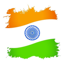 220x220 Indian Flag T Shirts For Men And Women