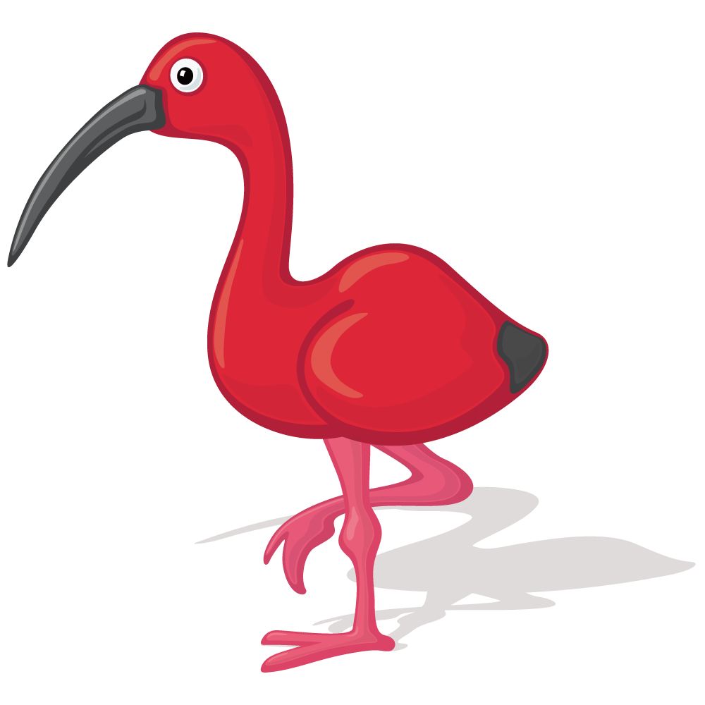 Flamingo Cartoon Drawing