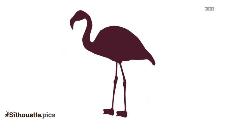 934x534 Flamingo Bird Silhouette Drawing Silhouette Pics