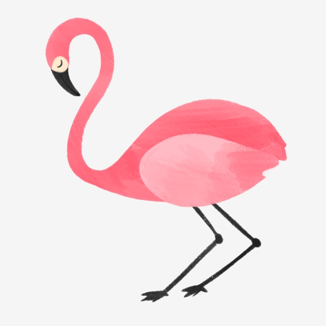 640x640 Hand Drawn Cute Flamingo, Cartoon, Bird, Flamingo Png Clipart