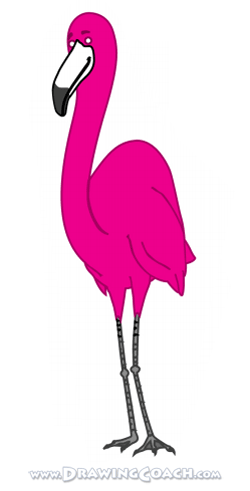 250x491 How To Draw A Cartoon Flamingo