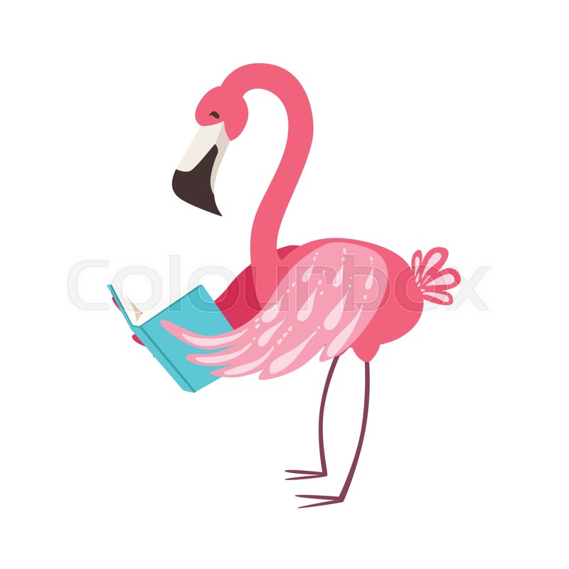800x800 Pink Flamingo Smiling Bookworm Zoo Stock Vector Colourbox