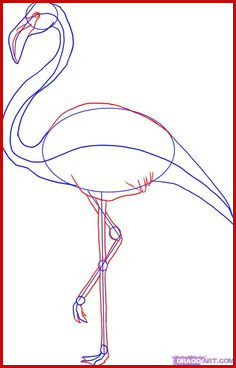 236x368 Flamingo Drawing Best Flamingo Images