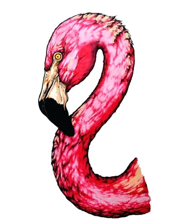 600x750 Flamingo Drawing Image Flamingo Drawing Cute