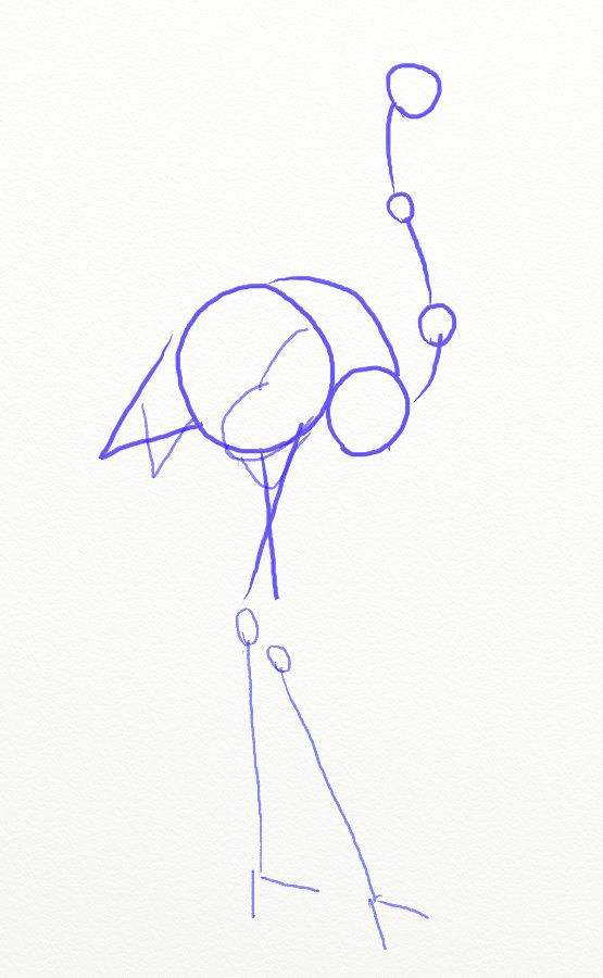 555x900 How To Draw A Pink Flamingo