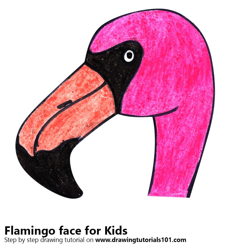 800x800 Learn How To Draw A Flamingo Face For Kids