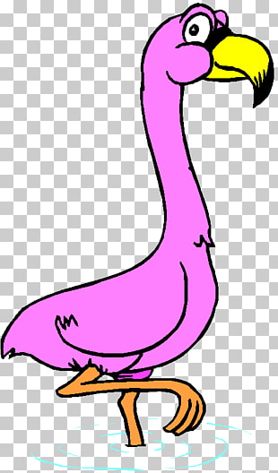 310x528 page drawing flamingos png cliparts for free download uihere