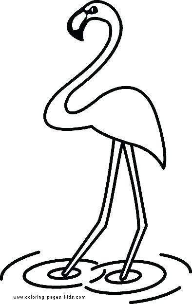 394x625 Simple Drawings For Toddlers Simple Flamingo Drawing At Com Free
