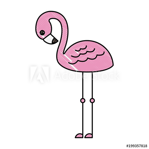 500x500 Cute Flamingo Tropical Bird Icon Vector Illustration Drawing