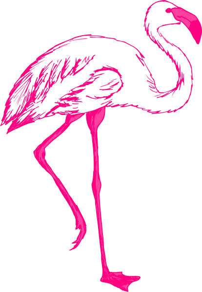 414x597 drawing flamingos clip art misc in flamingo clip art