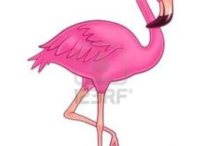 300x210 Drawing Of A Cartoon Flamingo Best Flamingo Clip Art Images