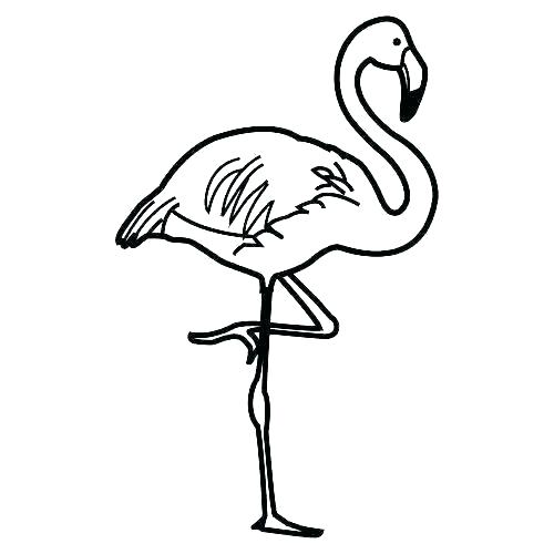 500x500 flamingo coloring pages flamingo coloring pages stock flamingos