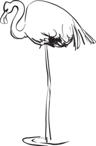 195x296 Flamingo Outline Art Clip Art