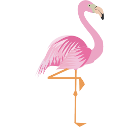 250x250 Flamingo Drawing, Picture