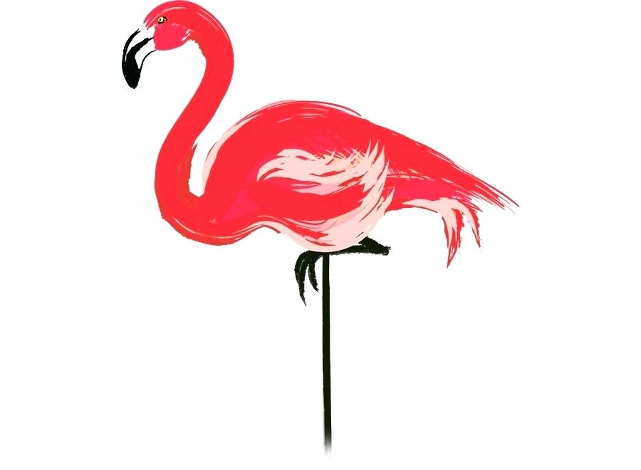 900x660 Drawing Of A Flamingo