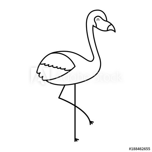 500x500 Flamingo Bird Exotic Animal Image Vector Illustration Outline
