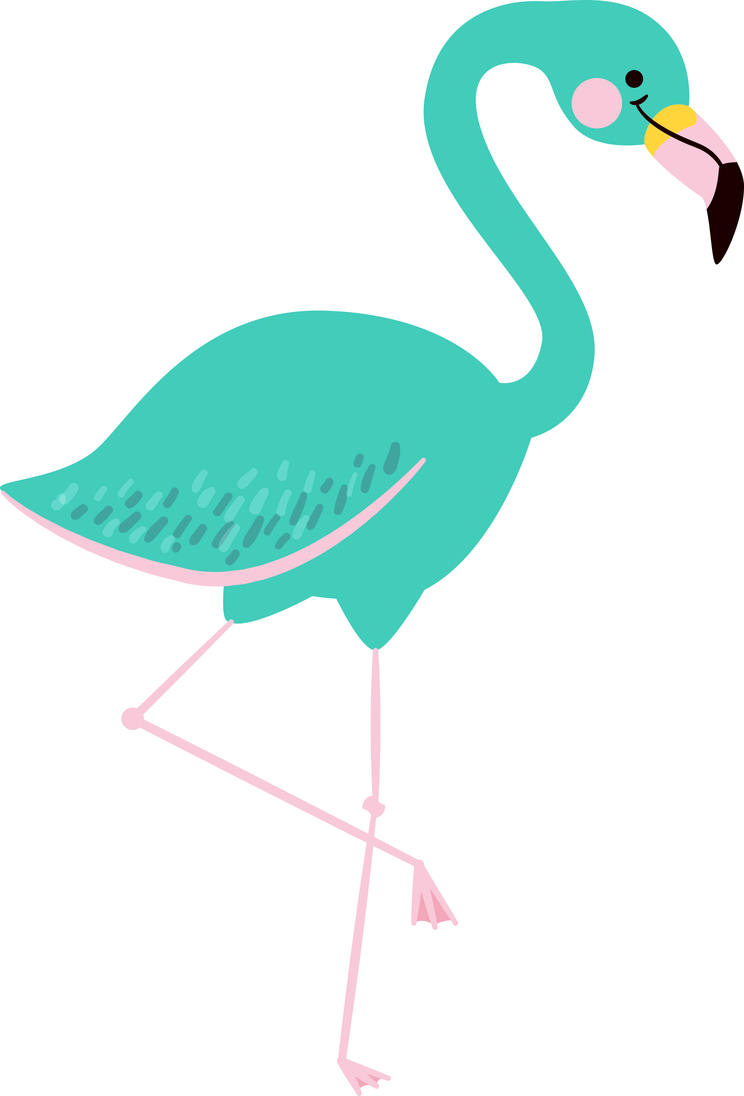 2382x3511 Collection Of Free Flamingo Drawing Clip Art Download On Ui Ex