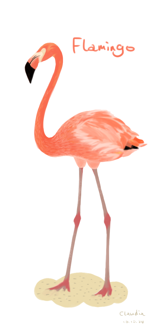 560x1150 Collection Of Free Flamingo Drawing Pattern Download On Ui Ex