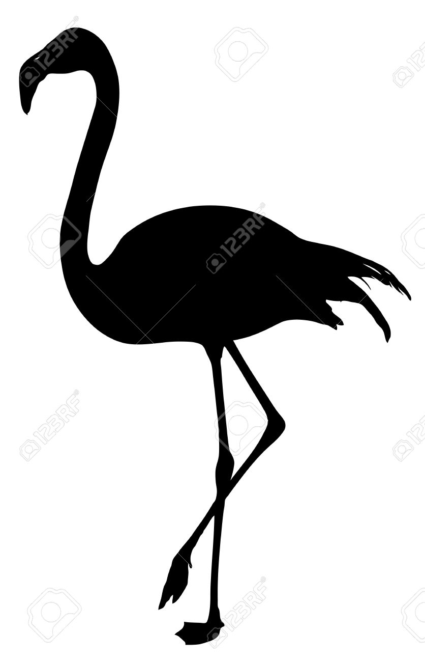 836x1300 Flamingo Outline Clipart