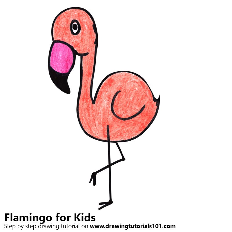 800x800 Flamingo Drawing Outline For Free Download