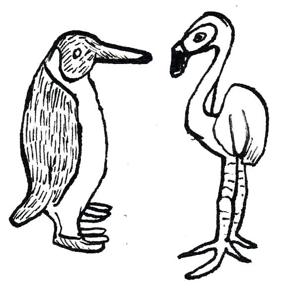 572x591 Drawing Animal Pictures Easy Animal Drawing Images Zupa