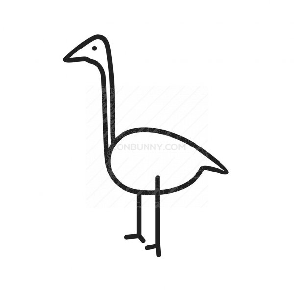 600x600 Flamingo Line Icon