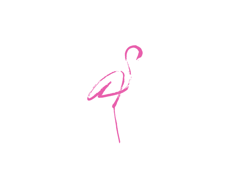 800x600 Flamingo