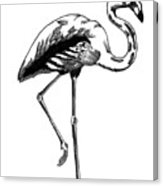 163x186 Hand Drawn Line Drawing Of Flamingo Bird Photograph