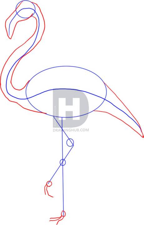461x720 How To Draw A Flamingo, Step