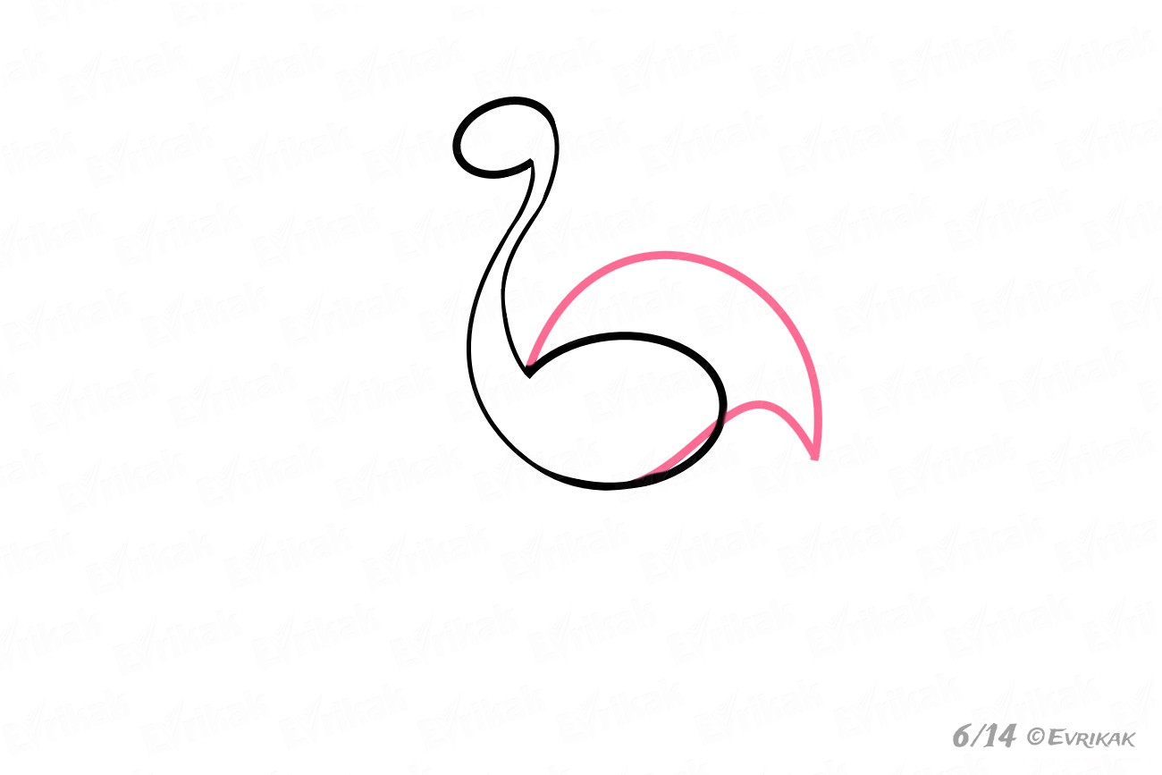 1300x867 Learning How To Draw A Pink Flamingo Step