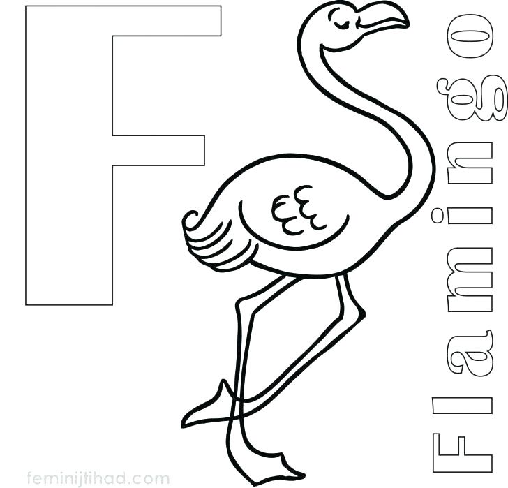 728x699 Coloring Pages For Kids Online Flamingo Printable Free