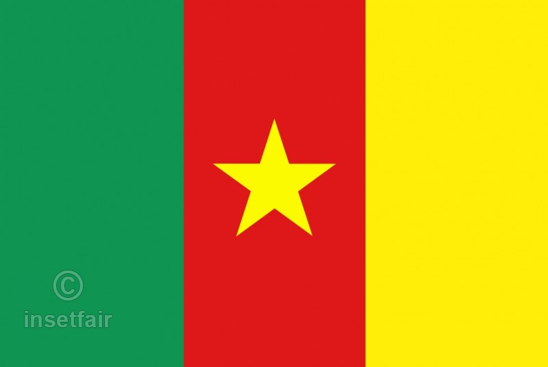 800x536 Cameroon Flag Flash Vector Drawing
