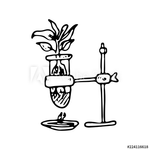 500x500 hand drawn plant in flask doodle icon hand drawn black sketch