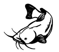 Flathead Catfish Drawing