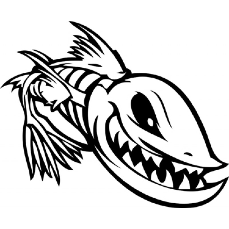 800x800 Skeleton Drawing Catfish For Free Download