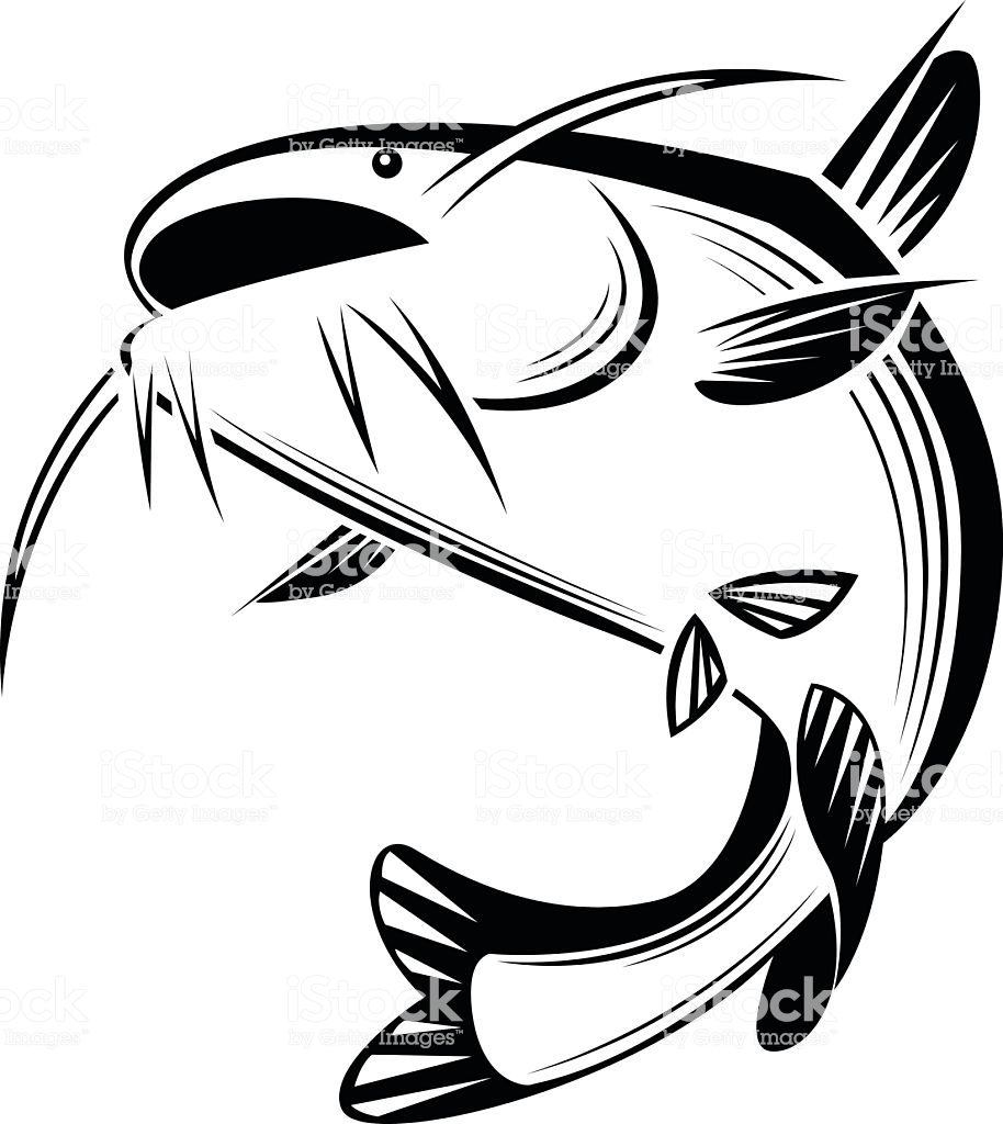 914x1024 Clip Art Catfish