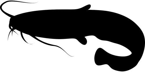 500x250 Catfish Vector Huge Freebie! Download For Powerpoint