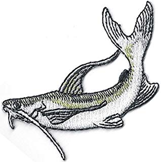 318x320 Nature's Bounty Beautiful Custom Fish Sketch