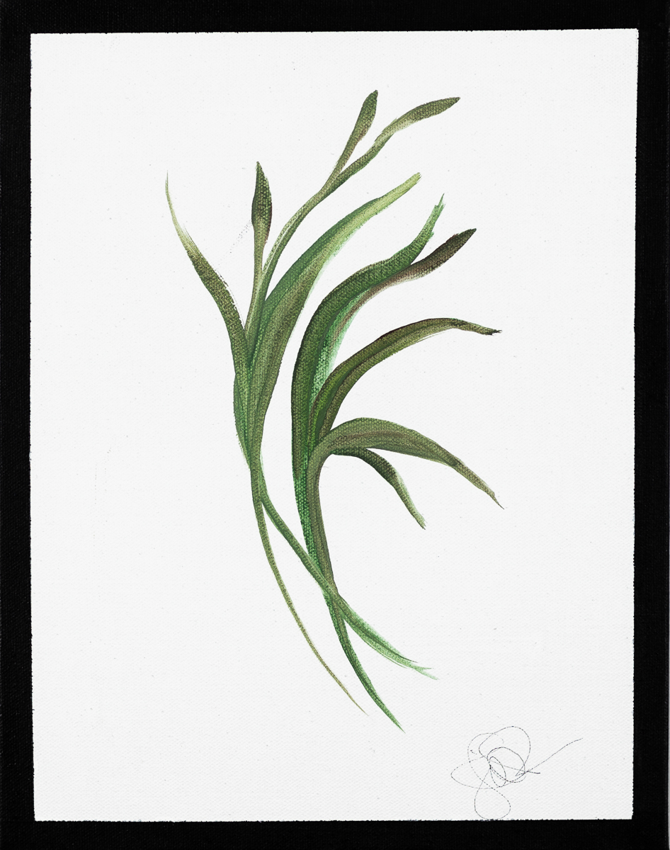 946x1200 decorative grasses greyhunt interiors