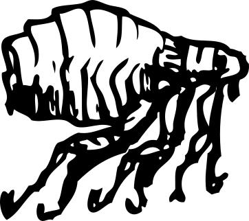 362x322 Flea Clipart