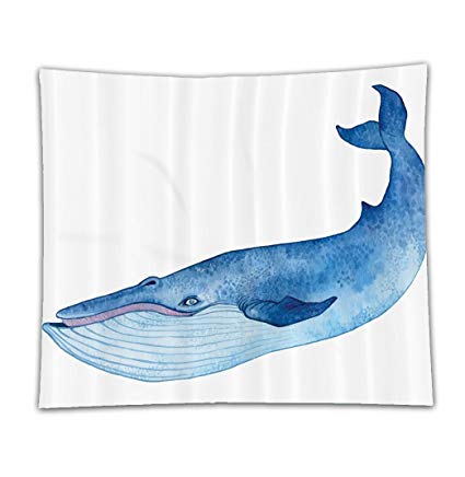 425x436 beshowereb fleece throw blanket whale decor water