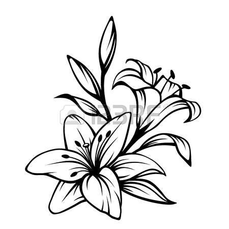450x450 Stock Photo Tatoo Lilies Drawing, Lily Painting, Lilly Flower