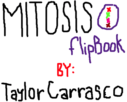 500x400 collection of free meiosis drawing mitosis flip book download