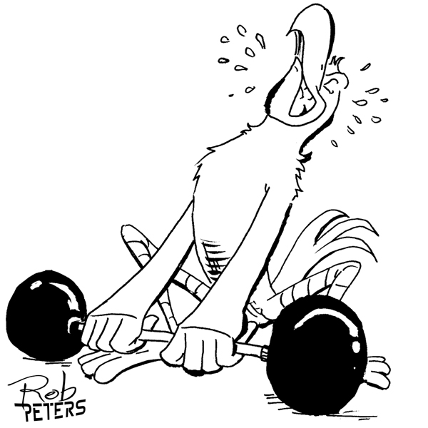 600x600 Daily Drawing Bird