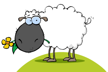350x234 Drawing Sheep Flock Transparent Png Clipart Free Download