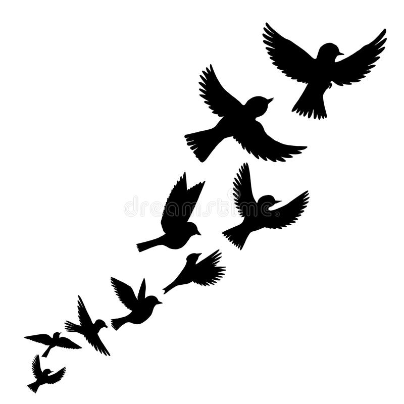 800x800 Flying Bird Silhouette Drawing