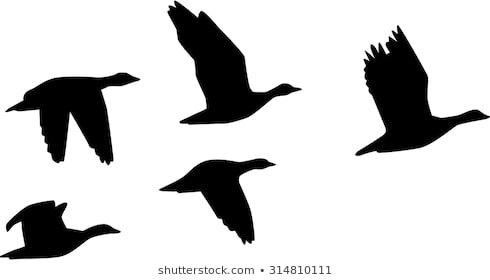490x280 Huge Collection Of 'flying Geese Drawing' Download More Than