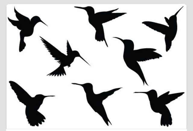 640x435 Hummingbird Drawing Silhouette Free Download Clip Art