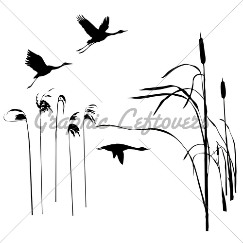 500x500 Flying Birds Gl Stock Images